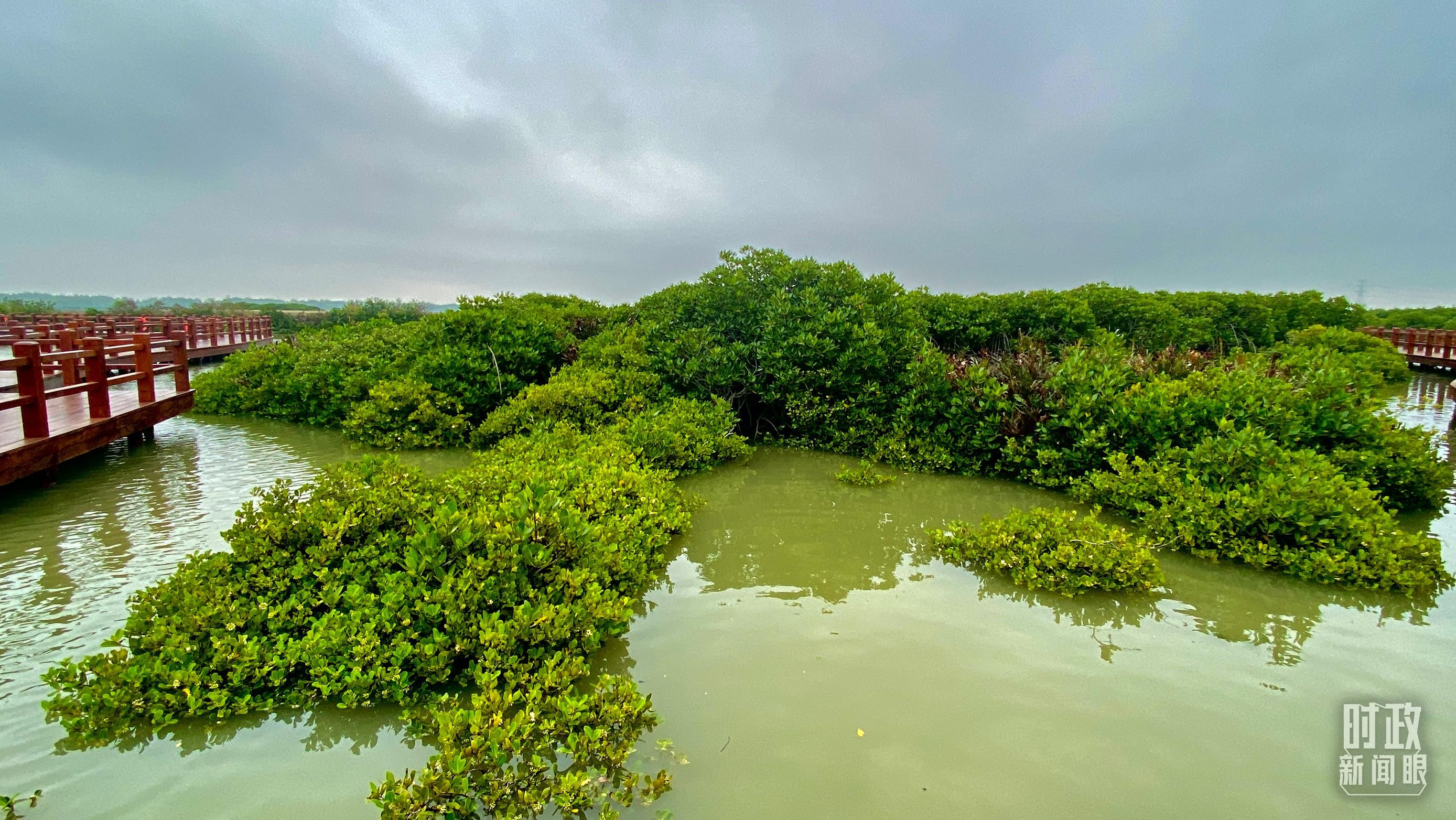 时政新闻眼丨习近平赴广东湛江考察，承载哪些战略考量？ CiugF68ZzCT9e9r9jpg
