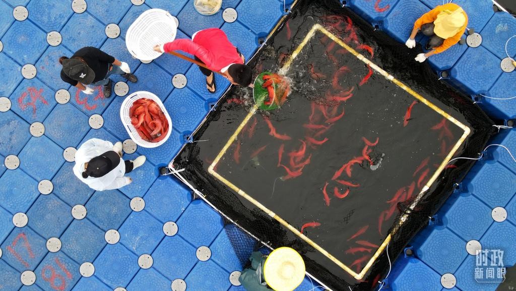 时政新闻眼丨习近平赴湛江考察,承载哪些战略考量? Yx6TBr3xZuQD99Rdjpg