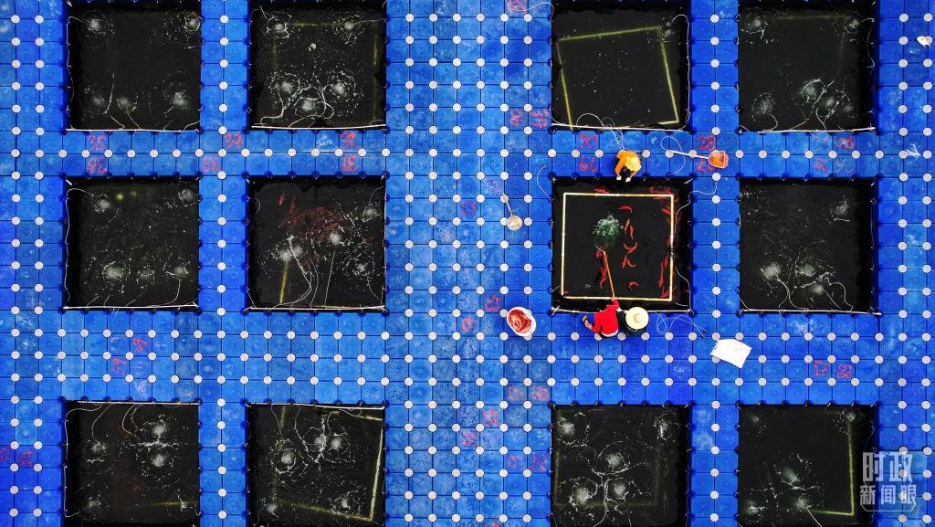 时政新闻眼丨习近平赴湛江考察,承载哪些战略考量? MzSjH1xZ0diuss97jpg