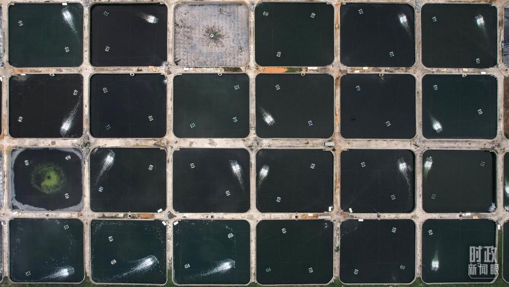 时政新闻眼丨习近平赴湛江考察,承载哪些战略考量? WmeQ1z1z0EQeEEQQjpg