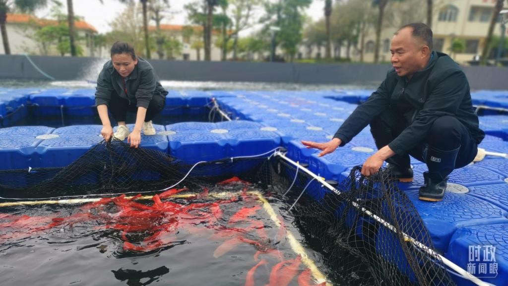 时政新闻眼丨习近平赴湛江考察,承载哪些战略考量? R969Db61wd631BWJjpg