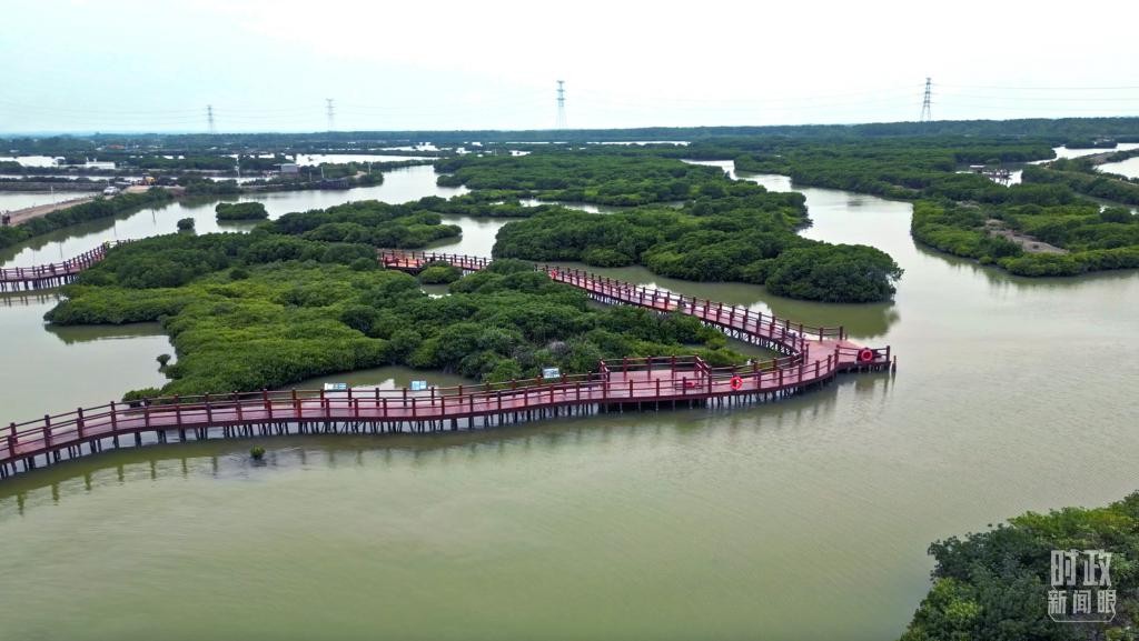 时政新闻眼丨习近平赴湛江考察,承载哪些战略考量? uwH9y1H0hDZP8mw9jpg