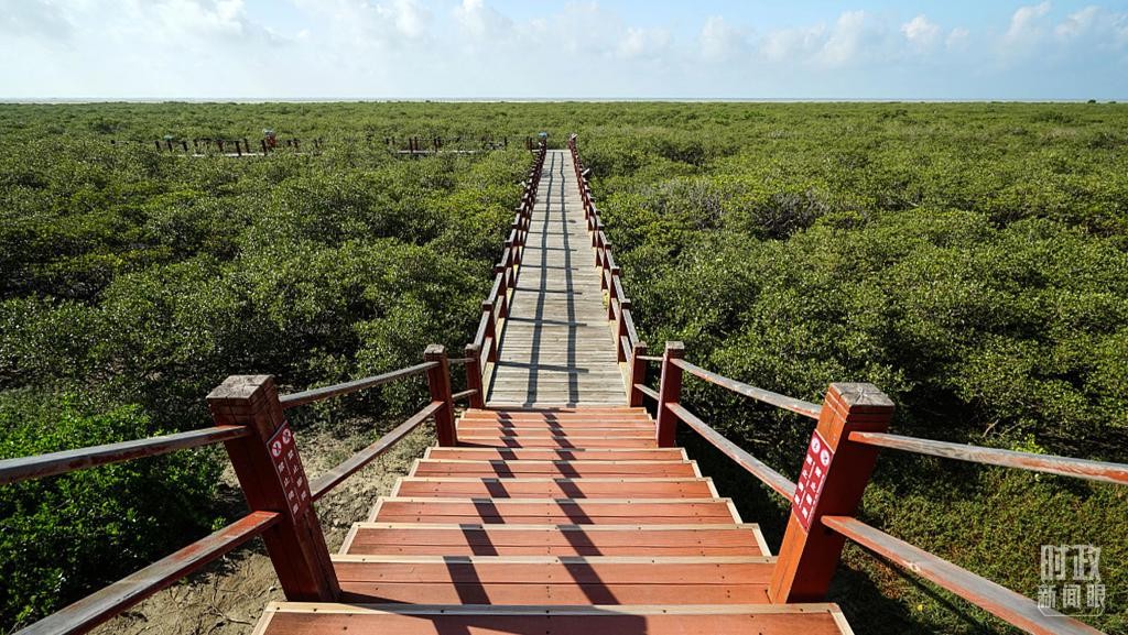 时政新闻眼丨习近平赴湛江考察,承载哪些战略考量? zH1FU66ay6sS6j6qjpg