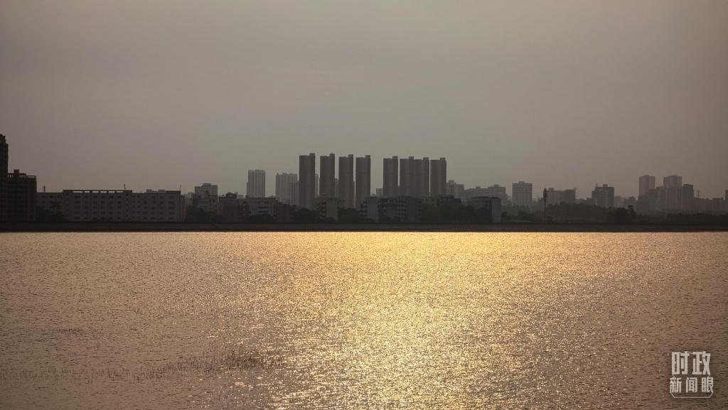 时政新闻眼丨习近平赴湛江考察,承载哪些战略考量? NF46Xl4jW59l1pZ6jpg