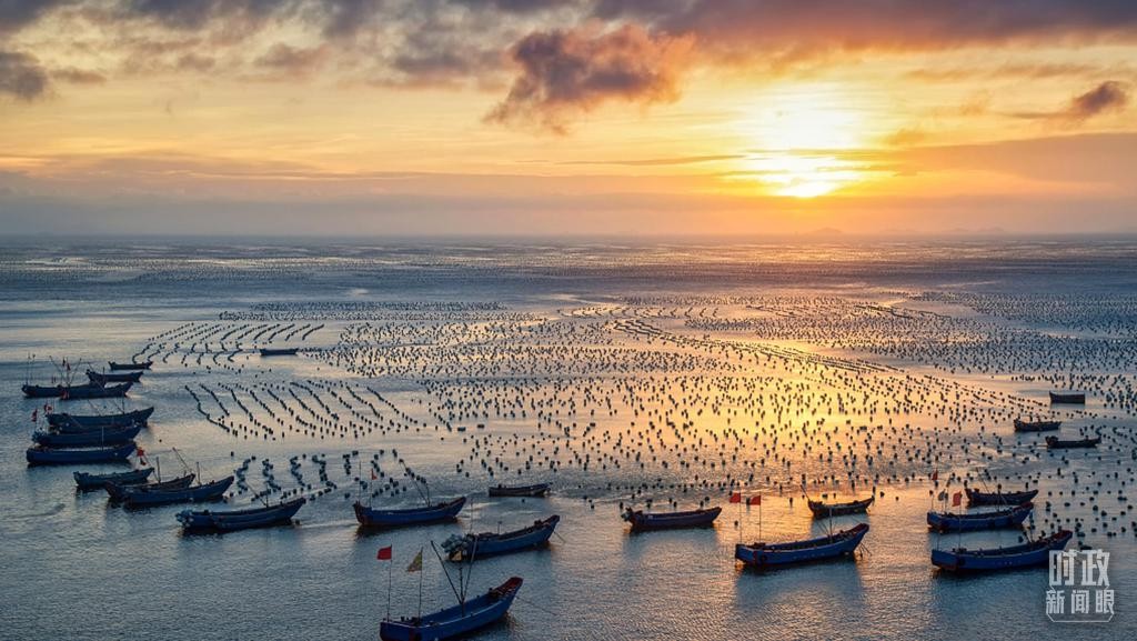 时政新闻眼丨习近平赴湛江考察,承载哪些战略考量? peze30YRe7y0y6rejpg