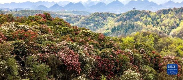 春日到贵州来看“海” ifuso19fOU49SPEpjpg