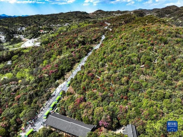 春日到贵州来看“海” UpEqtKSRYTUKurSujpg