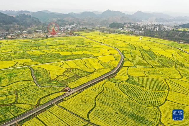 春日到贵州来看“海” dWLcKbyKy3z96mG5jpg