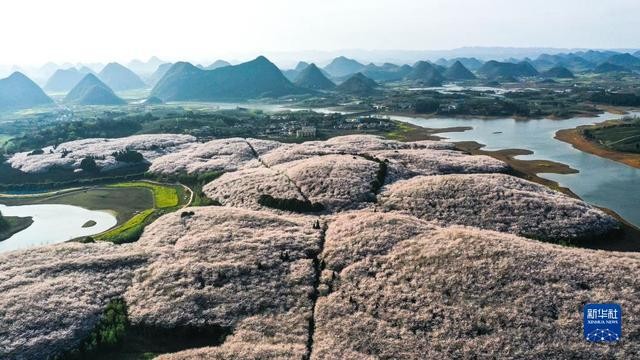 春日到贵州来看“海” i7Cg7h7il6g5H69cjpg