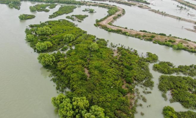 “在推进中国式现代化建设中走在前列”——习近平总书记考察广东纪实 hkk6OwJpoEkZKOGzjpg