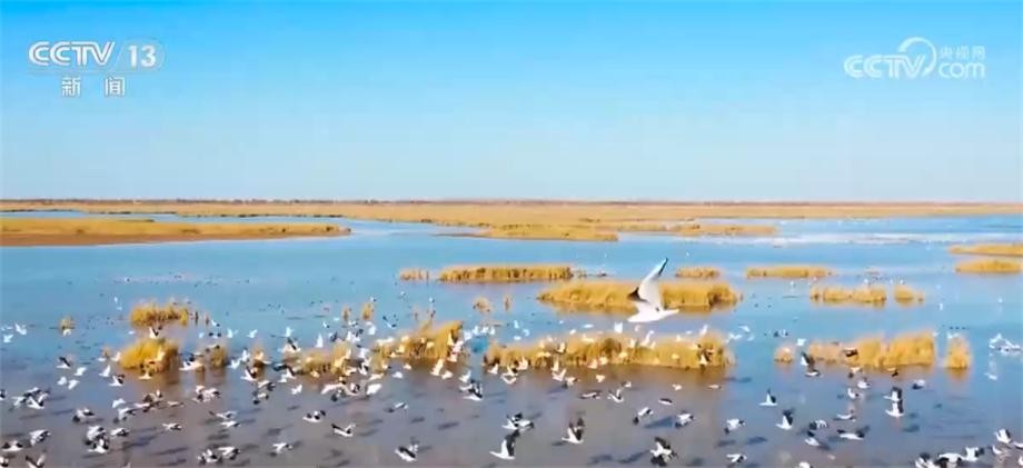 2022 年我国海洋生态环境状况稳中趋好 海水环境质量总体保持稳定 X6v8PaPTom8v08wtjpg