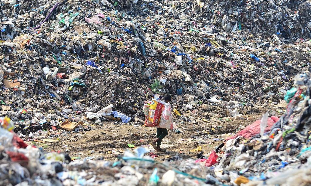 图说｜塑战速决？塑料垃圾正在污染生态系统，人类如何应对 y7O2Hke90P2YzEOjjpg