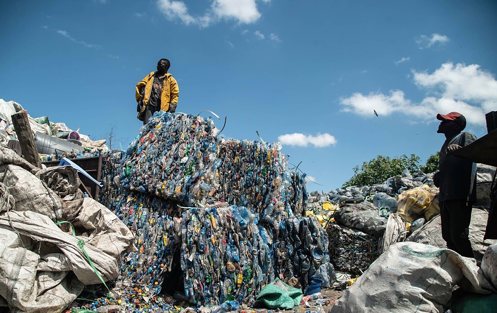 图说｜塑战速决？塑料垃圾正在污染生态系统，人类如何应对 PcQPFKzh8PD0DPRDjpg