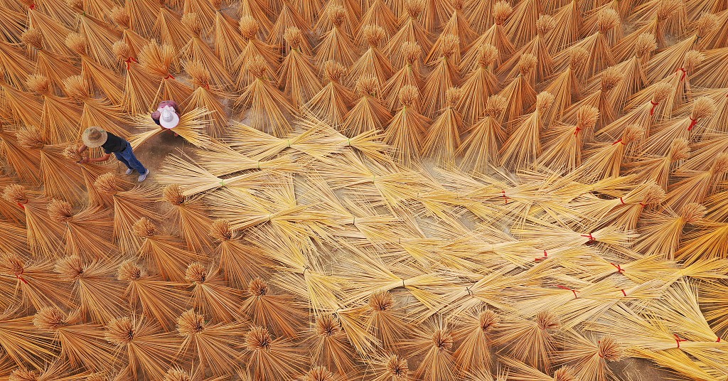 图说｜塑战速决？塑料垃圾正在污染生态系统，人类如何应对 BK5nz25OP99piO12jpg