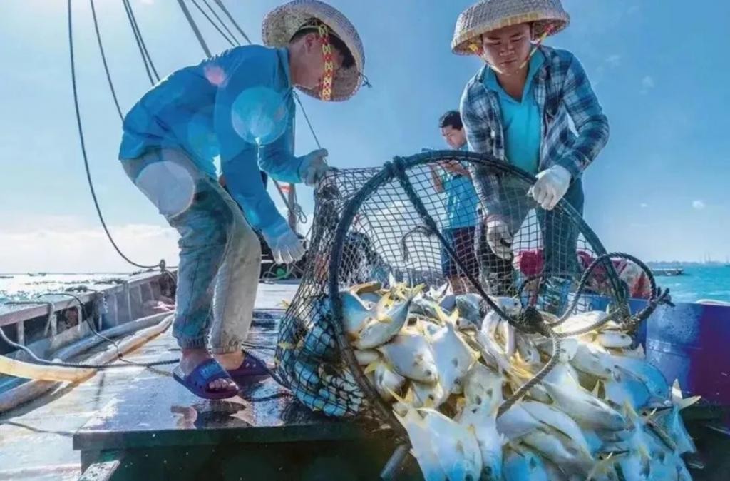 湛江这个满满科技感的“巨无霸”投用!现代化海洋牧场活动月启动 IKRCEoOkDz4ZdsITjpg