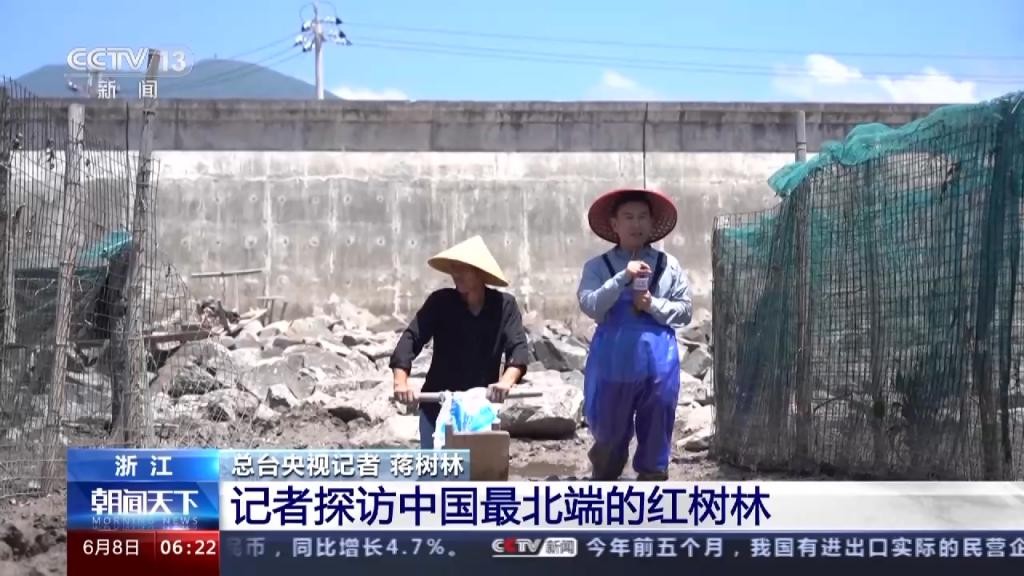 红树林让滩涂美了，村民富了 KxumD3jjU388d8X9jpg