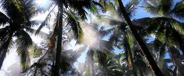 微视频｜海洋之声 FbYY8dMBzR8Dd625jpg