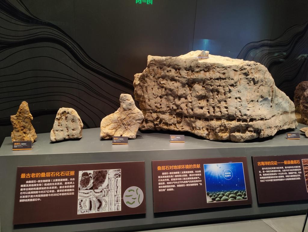 这座“海上故宫”里有不少广东海洋故事 yel18U53S3L3HClCjpg